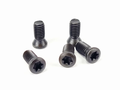 Torx M2 x 4 inbusboutjes voor wisselplaatjes