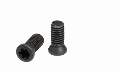 Torx M5 x 14 inbusboutjes voor wisselplaatjes